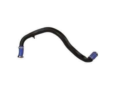 Ford HL3Z-6C646-A Lower Hose