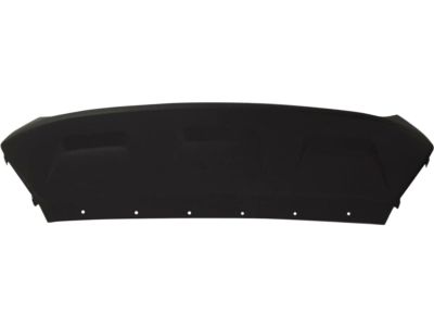 Ford GJ5Z-8419-AB Trim Molding