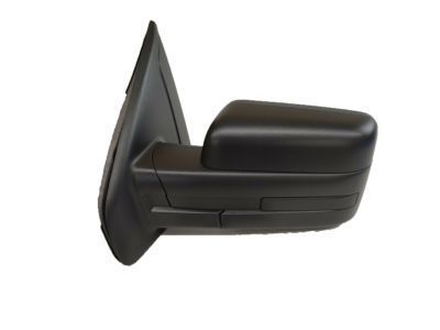 Ford BL3Z-17683-AA Mirror