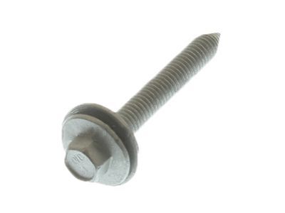 Ford -W716025-S439 Roof Rail Screw