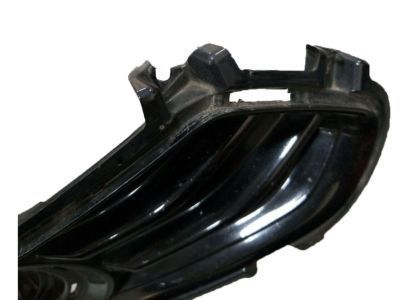 Ford DS7Z-17B814-CB Side Trim