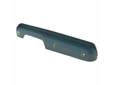 Ford F2UZ-1524140-AAY Door Armrest Assembly