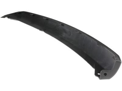 Ford CP9Z-17626-A Lower Molding