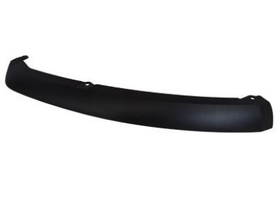 Ford CP9Z-17626-A Lower Molding