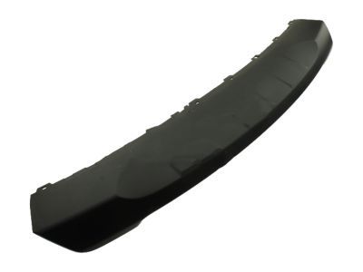 Ford JB5Z-8419-ADPTM Lower Molding