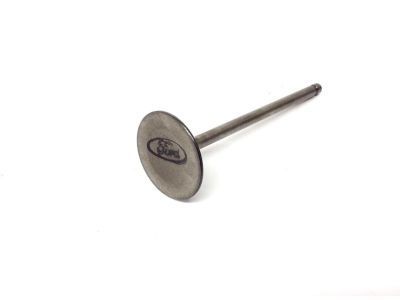 Mercury 9S4Z-6507-C Intake Valve