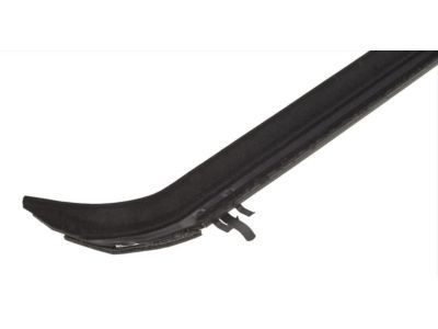 Ford F2TZ-1521456-A Belt Weatherstrip