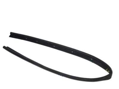 Ford EJ7Z-16B990-A Weatherstrip