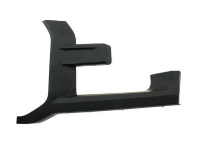 Ford HL3Z-17C755-BPTM Trim Molding