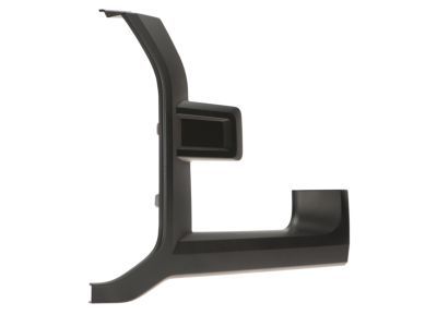 Ford HL3Z-17C755-BPTM Trim Molding