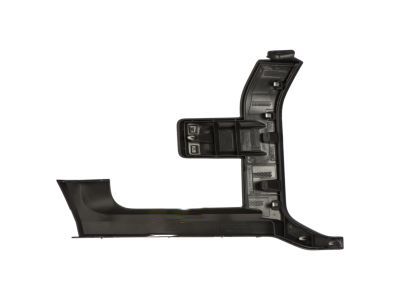 Ford HL3Z-17C755-BPTM Trim Molding