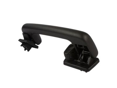 Ford DG1Z-5431407-CB Grip Handle