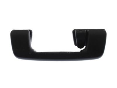 Ford DG1Z-5431407-CB Grip Handle