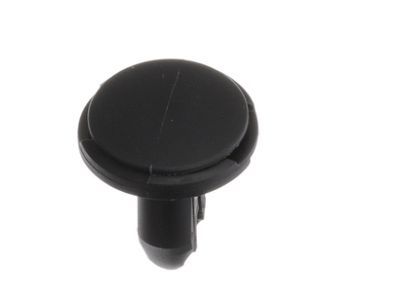 Ford -W718037-S300 Molding Rivet