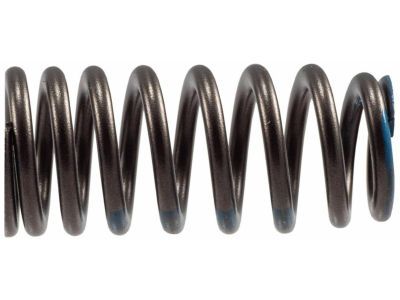 Ford FT4Z-6513-A Valve Springs