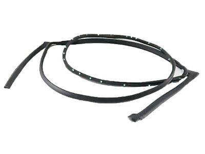 2009 Ford Flex Weather Strip - AA8Z-7425324-B