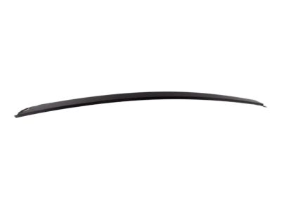 Ford 1S4Z-5420554-DA Window Molding