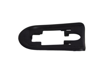 Ford CV6Z-5422042-A Handle, Outside Pad