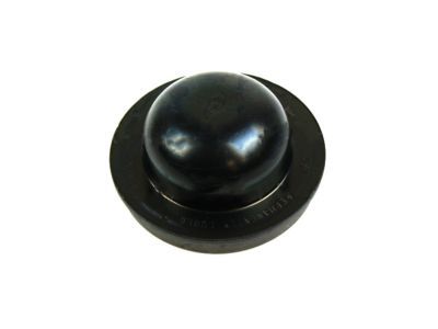 Ford F1VY-1N135-A Grease Cap