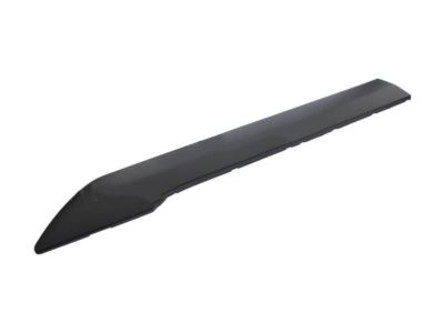 Ford DT1Z-6120879-BB Body Side Molding