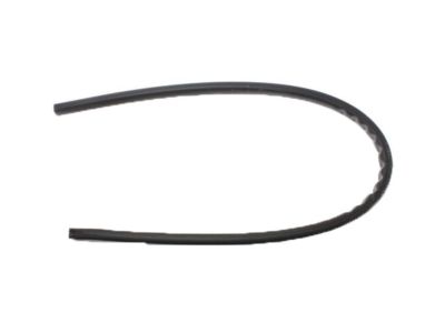 Ford 3L8Z-7825355-A Side Seal