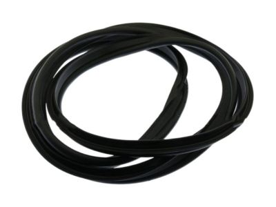 Lincoln DP5Z-5443720-A Weatherstrip