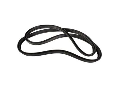 Ford DP5Z-5443720-A Weatherstrip