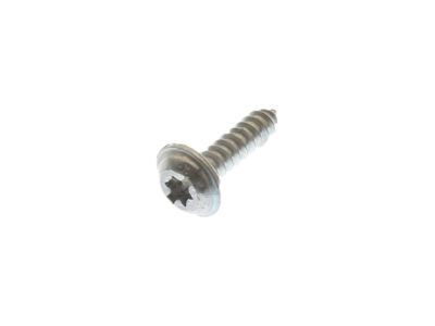 Ford -W714309-S450 Fog Lamp Screw