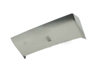 Ford DL3Z-15046B32-CB Lower Molding