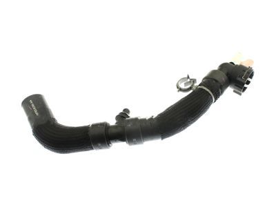 Lincoln MKZ Radiator Hose - HP5Z-8286-A