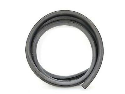 Ford Focus Door Seal - 2M5Z-54253A10-BA