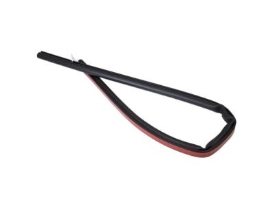 Ford 5L3Z-16253A40-AA Door Weatherstrip