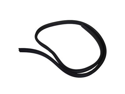 Ford CV6Z-5825324-A Weatherstrip