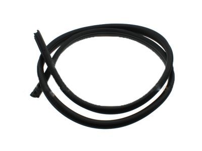 Ford CV6Z-5825324-A Weatherstrip