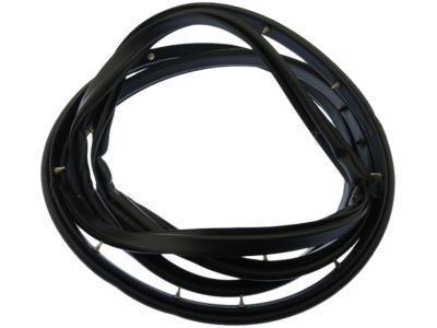 Lincoln 2W1Z-5425324-AA Door Weatherstrip