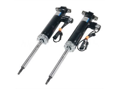 Lincoln EG9Z-18125-L Shock