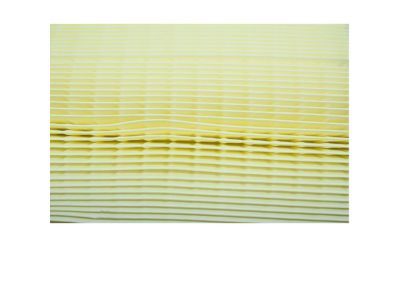 Ford HC3Z-9601-A Air Filter