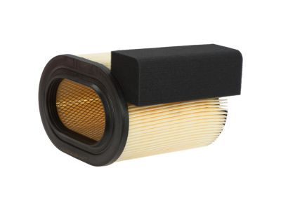 2019 Ford F-250 Super Duty Air Filter - HC3Z-9601-A