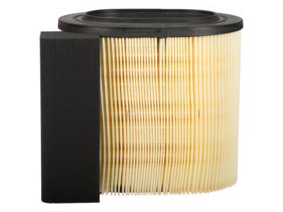 Ford HC3Z-9601-A Air Filter