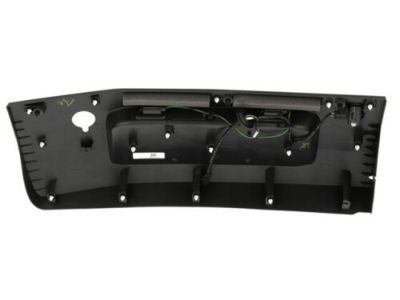 Ford JK4Z-99425B28-DA Lower Molding