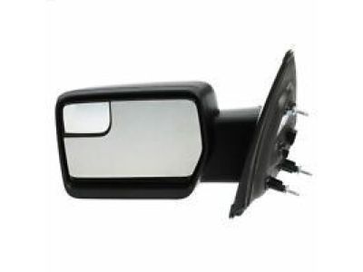 2004 Ford F-150 Heritage Mirror Cover - 1L3Z-17D742-BAA