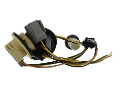 Ford DG1Z-13410-F Socket & Wire