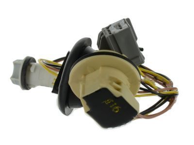 Ford DG1Z-13410-F Socket & Wire