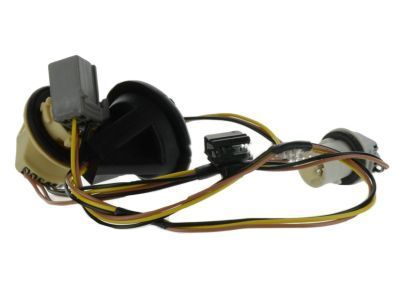 Ford DG1Z-13410-F Socket & Wire