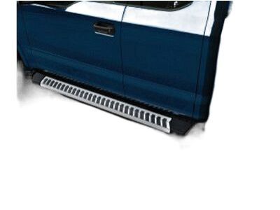 Ford FL3Z-16450-PB Running Board