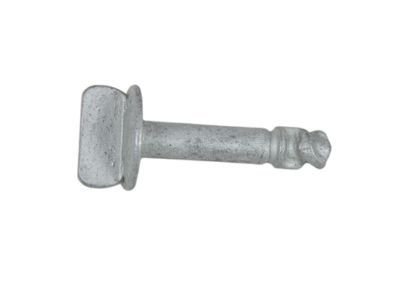 Lincoln AG1Z-00817-A Under Cover Screw