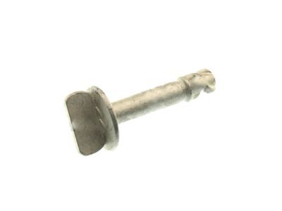 Lincoln AG1Z-00817-A Under Cover Screw