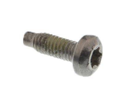 Ford -W709287-S300 Air Mass Sensor Screw