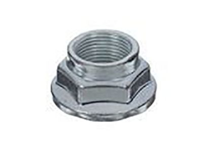 Lincoln CCPZ-3B477-C Axle Nut