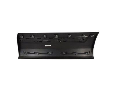 Ford FB5Z-7825556-DA Lower Molding